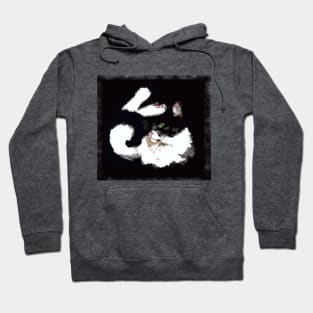 Tuxedo toes Hoodie